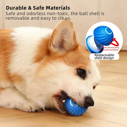 Intelligent Dog Toy