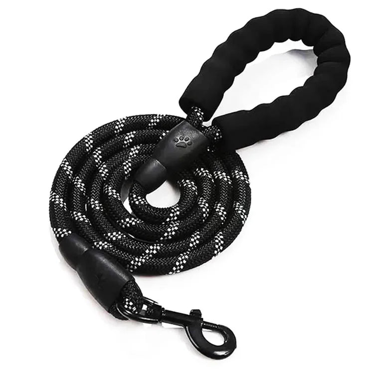 Dog Leash