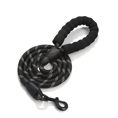 Dog Leash