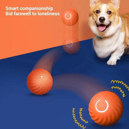 Intelligent Dog Toy