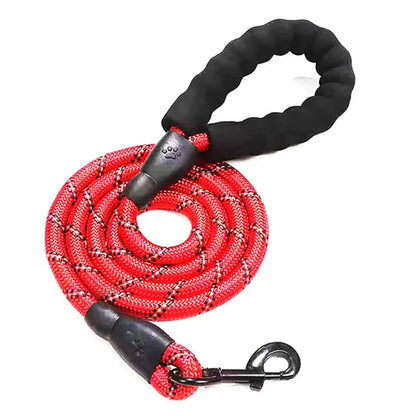 Dog Leash