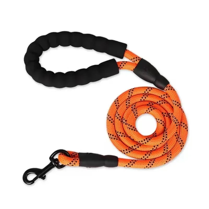 Dog Leash